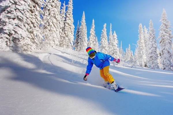 Snowboarder haciendo un tallado en el lado del dedo del pie —  Fotos de Stock