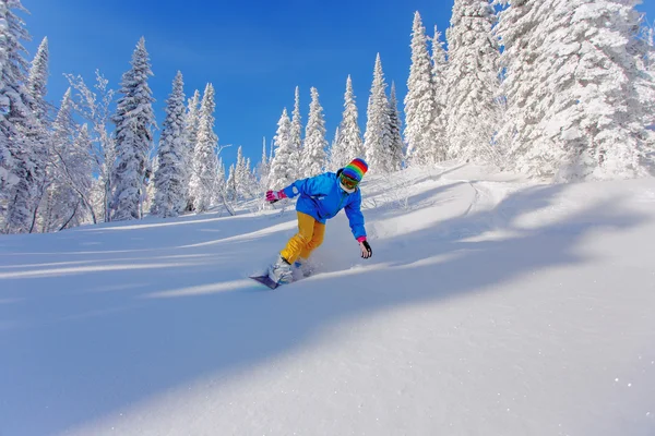 Сноубордист делает резьбу на ноге — стоковое фото