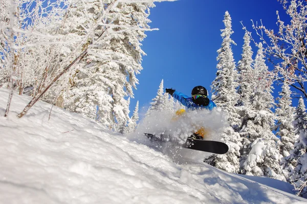 Сноубордист стрибає через повітря — стокове фото