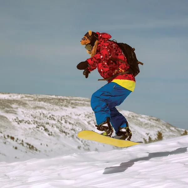 Snowboardåkare — Stockfoto