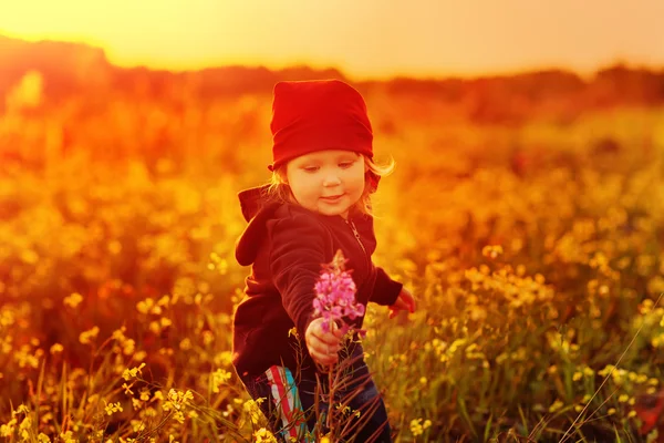 Laughing small girl with field flowers Stock Picture