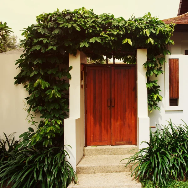 Comfy cottage with curly plant on walls — Stock Photo, Image