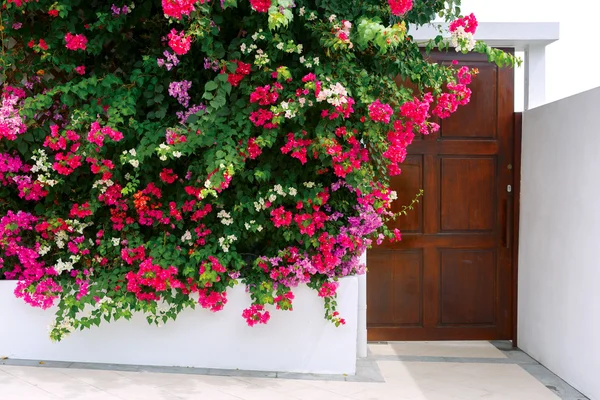 Ahşap bir kapı ön görünüm beyaz ev — Stok fotoğraf