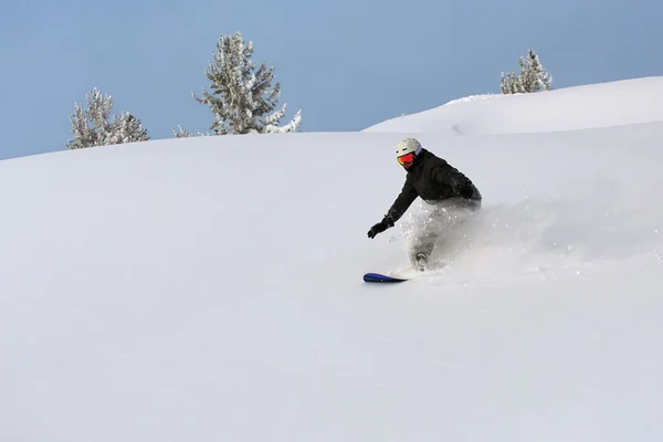Snowboarder deslizando pela colina — Fotografia de Stock