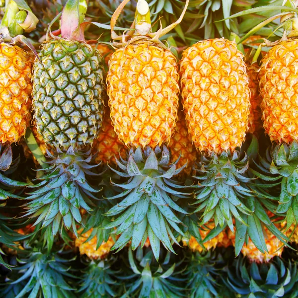 Un montón de fondo de fruta de piña —  Fotos de Stock