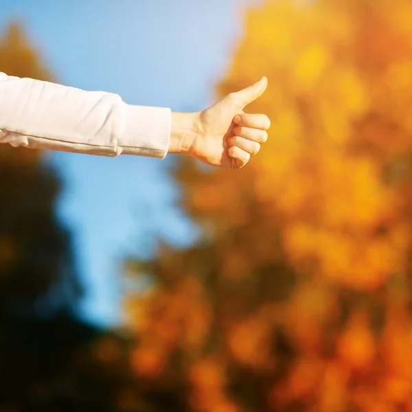 Visar tummen upp mot hösten himlen och gula blad — Stockfoto