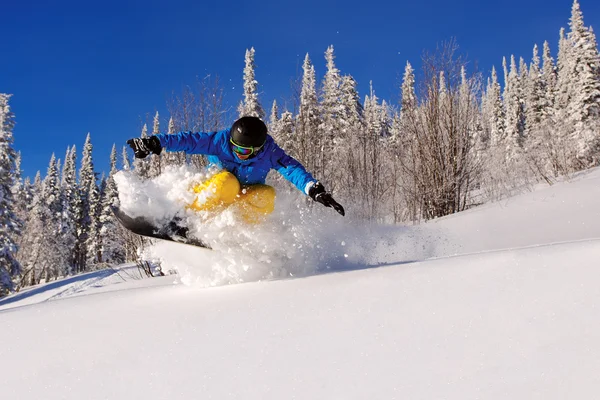 Snowboarder beim Toe Side Carve mit tiefblauem Himmel im Backgro — Stockfoto