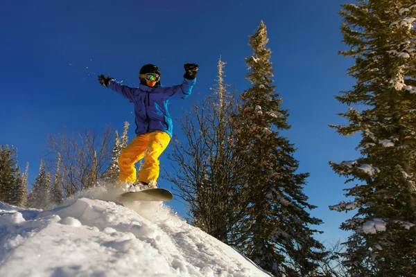 Snowboarder springen door de lucht met diep blauwe lucht op de achtergrond — Stockfoto