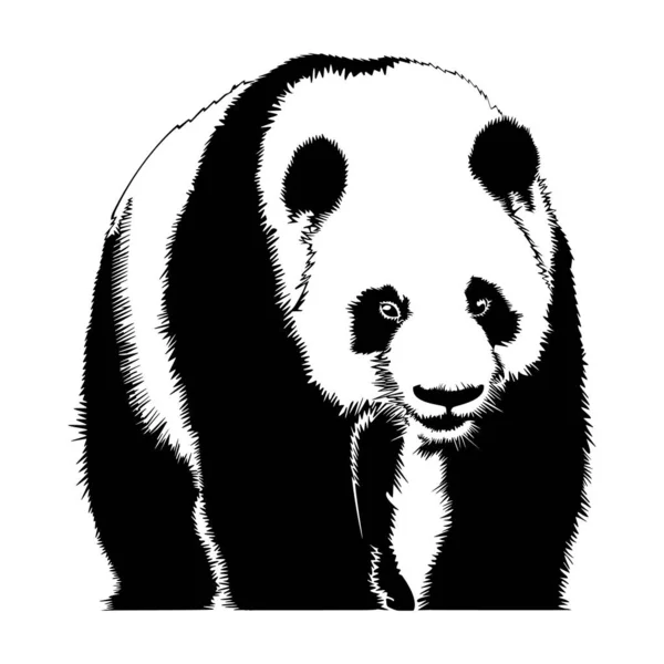 ポートフォリオ Arakolog ストック写真 イラストとベクターアート Depositphotos