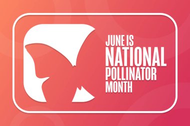 Haziran, Ulusal Polen Ayıdır. Tatil konsepti. Arkaplan, afiş, kart, yazılı poster şablonu. Vektör EPS10 illüstrasyonu.