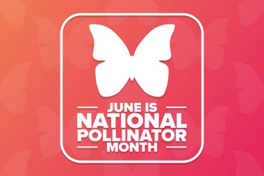 Haziran, Ulusal Polen Ayıdır. Tatil konsepti. Arkaplan, afiş, kart, yazılı poster şablonu. Vektör EPS10 illüstrasyonu.