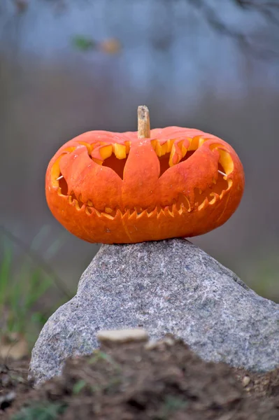 Halloween Dýně Hlava Podzimním Lese Stojící Kameni Večerních Hodinách — Stock fotografie
