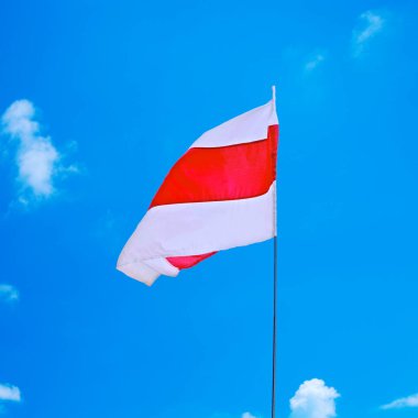 Mavi gökyüzü arka planında bulutlu Belarus ulusal bayrağını dalgalandırmak. Beyaz-kırmızı-beyaz bayrak. Beyaz Rusya 'da cumhurbaşkanlığı seçimlerinden sonra diktatörlüğe karşı yapılan barışçıl protestoların bir sembolü..