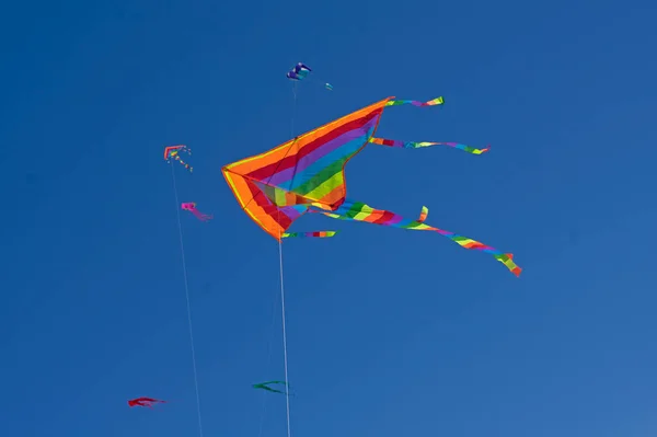 Geïsoleerde Regenboog Kleur Vlieger Vliegen Blauwe Lucht — Stockfoto