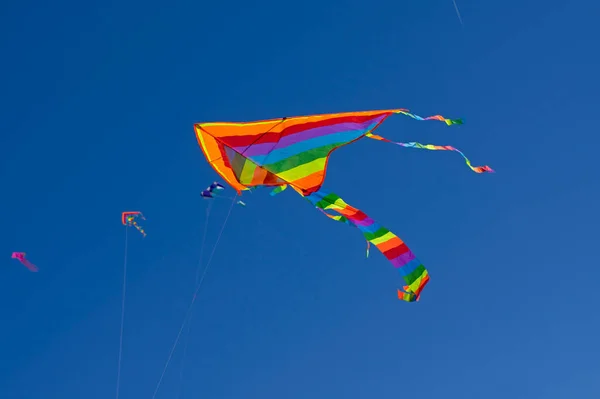 Geïsoleerde Regenboog Kleur Vlieger Vliegen Blauwe Lucht — Stockfoto