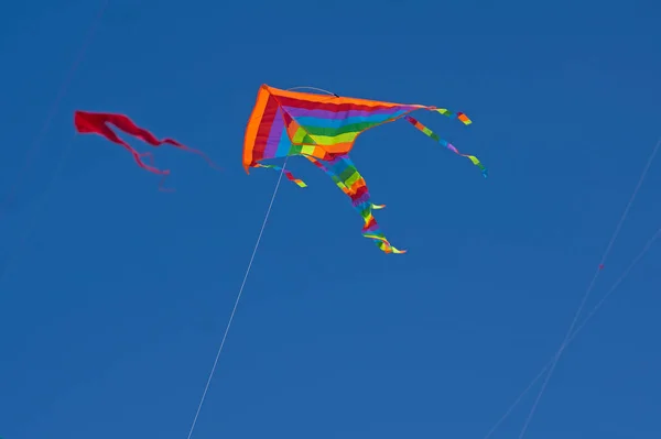 Cerf Volant Isolé Couleur Arc Ciel Volant Dans Ciel Bleu — Photo