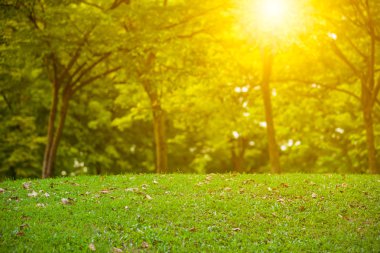 Doğa manzara ve günbatımı