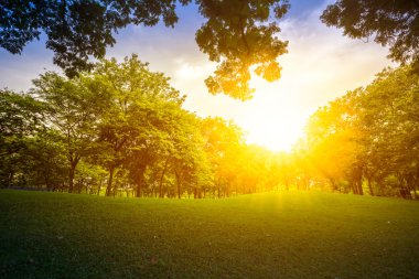 Doğa manzara ve günbatımı