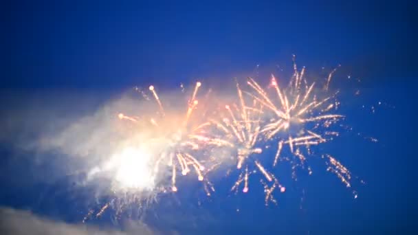 Fuegos artificiales desenfocados en el cielo nocturno — Vídeos de Stock
