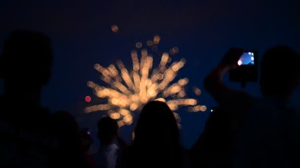 Eine Gruppe von Menschen, die sich vor einem Feuerwerk aufhalten und Videos der Lichtshow drehen — Stockvideo