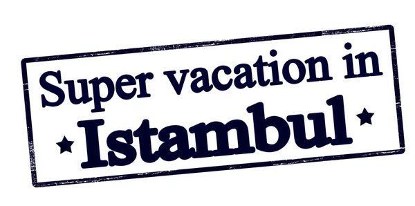 Super semester i Istanbul — Stock vektor