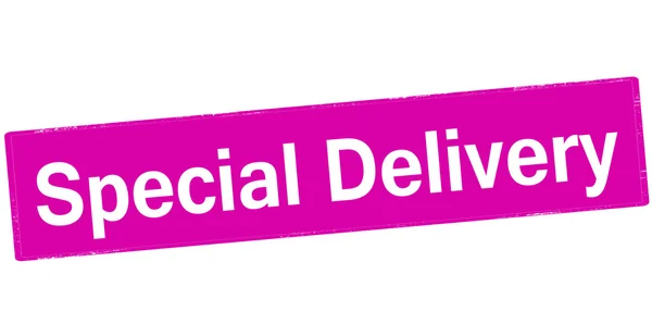 Special delivery stamp — Stock Vector