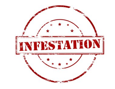 İçinde kelime enfeksiyonu olan lastik damga, vektör illüstrasyonu