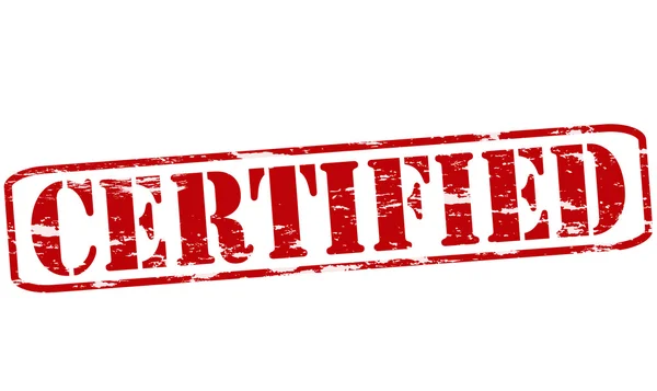 Certificado — Vector de stock
