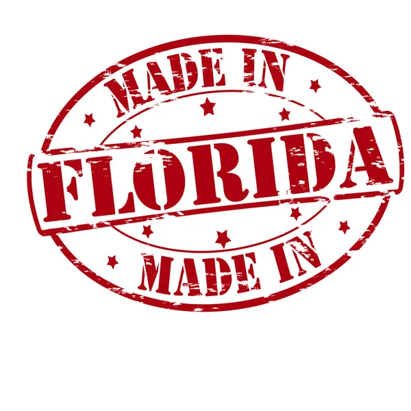 Hecho en Florida — Vector de stock