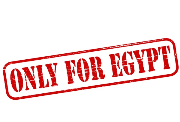 Only for Egypt — Stock Vector