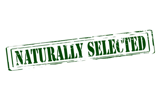 Selección natural — Archivo Imágenes Vectoriales