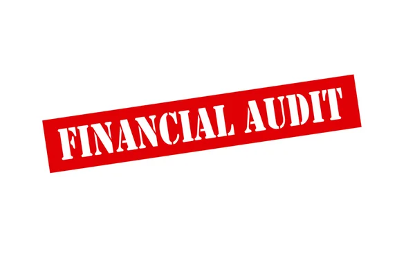 Financial audit — Stock Vector