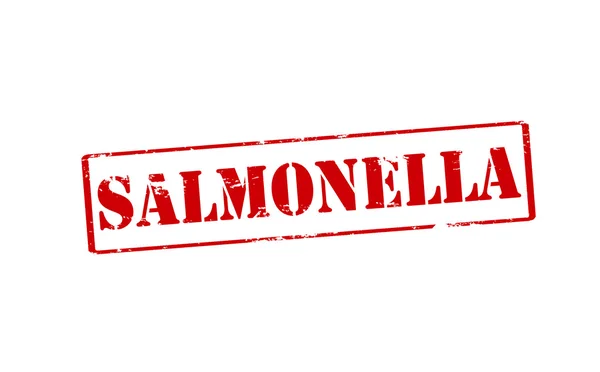 Salmonela — Vector de stock