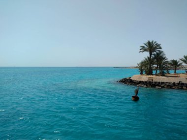 Güzel manzaralı deniz ve Palmiye ağacı adası