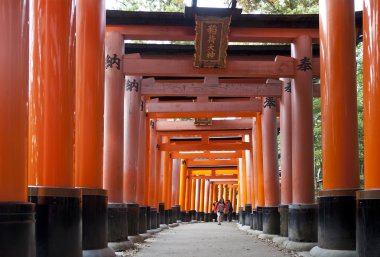  Fushimi Inari Tapınak, Kyoto, Japonya'nın ünlü simge kırmızı Torii kapılarında