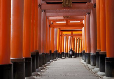 Fushimi Inari Tapınak, Kyoto, Japonya'nın ünlü simge kırmızı Torii kapılarında