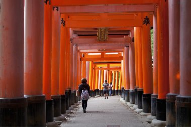  Fushimi Inari Tapınak, Kyoto, Japonya'nın ünlü simge kırmızı Torii kapılarında