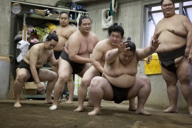 Tokyo, Japonya - 18 Mayıs 2016: onların ahır Tokyo'da 18 Mayıs eğitim Japon sumo güreşçisi. 2016