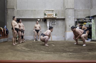 TOKYO, JAPAN - May 18, 2016: Japanese sumo wrestler training in their stall in Tokyo on May 18. 2016 clipart