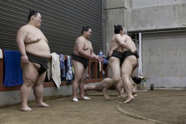 Tokyo, Japonya - 18 Mayıs 2016: onların ahır Tokyo'da 18 Mayıs eğitim Japon sumo güreşçisi. 2016