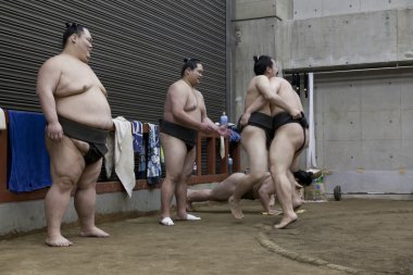 TOKYO, JAPAN - May 18, 2016: Japanese sumo wrestler training in their stall in Tokyo on May 18. 2016 clipart