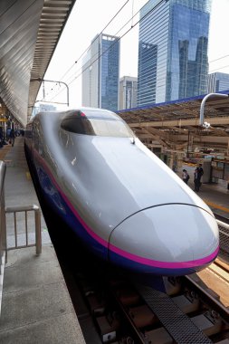  Shinkansen tren Tokyo İstasyonu çeker 