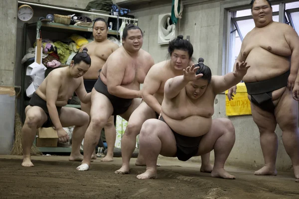 TOKYO, JAPAN - May 18, 2016: Japanese sumo wrestler training in their stall in Tokyo on May 18. 2016 — Stock Photo, Image