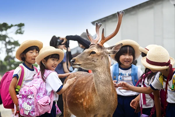Νάρα, Ιαπωνία - 25 Μαΐου 2016: τουρίστες και άγρια ελάφια σε Nara στις 25 Μαΐου 2016. Τα ελάφια σε Nara έχουν θεωρηθεί ως ουράνια ζώα, προστατεύοντας την πόλη και η χώρα — Φωτογραφία Αρχείου