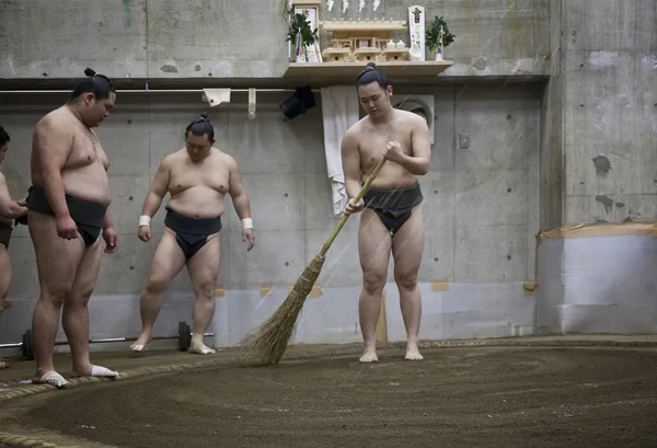 TOKYO, GIAPPONE - 18 maggio 2016: allenamento giapponese di sumo wrestler nella loro bancarella a Tokyo il 18 maggio. 2016 — Foto Stock