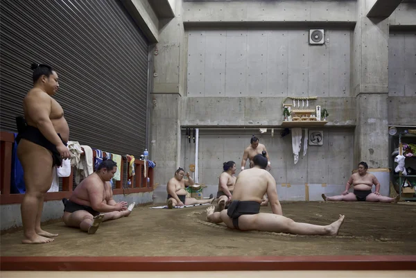 TOKYO, GIAPPONE - 18 maggio 2016: allenamento giapponese di sumo wrestler nella loro bancarella a Tokyo il 18 maggio. 2016 — Foto Stock