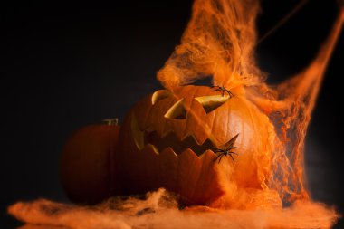 Karanlık bir arka planda cadılar bayramı kabağı