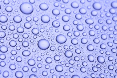 Tatlı su damla, mavi desen