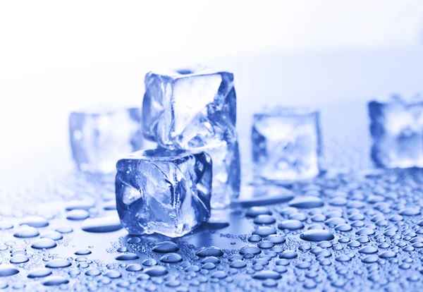 Cubes de glace — Photo