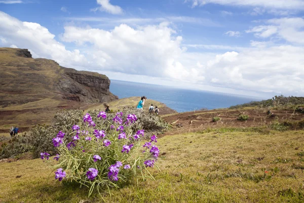 Bela paisagem na costa norte da Ponta de São Lourenco, a parte mais oriental da Ilha da Madeira — Fotografia de Stock